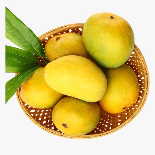 Chaunsa Mango Box