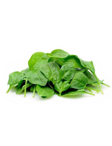 Baby Spanish Vegetable - 100 Grams